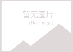 江达县夜山化学有限公司